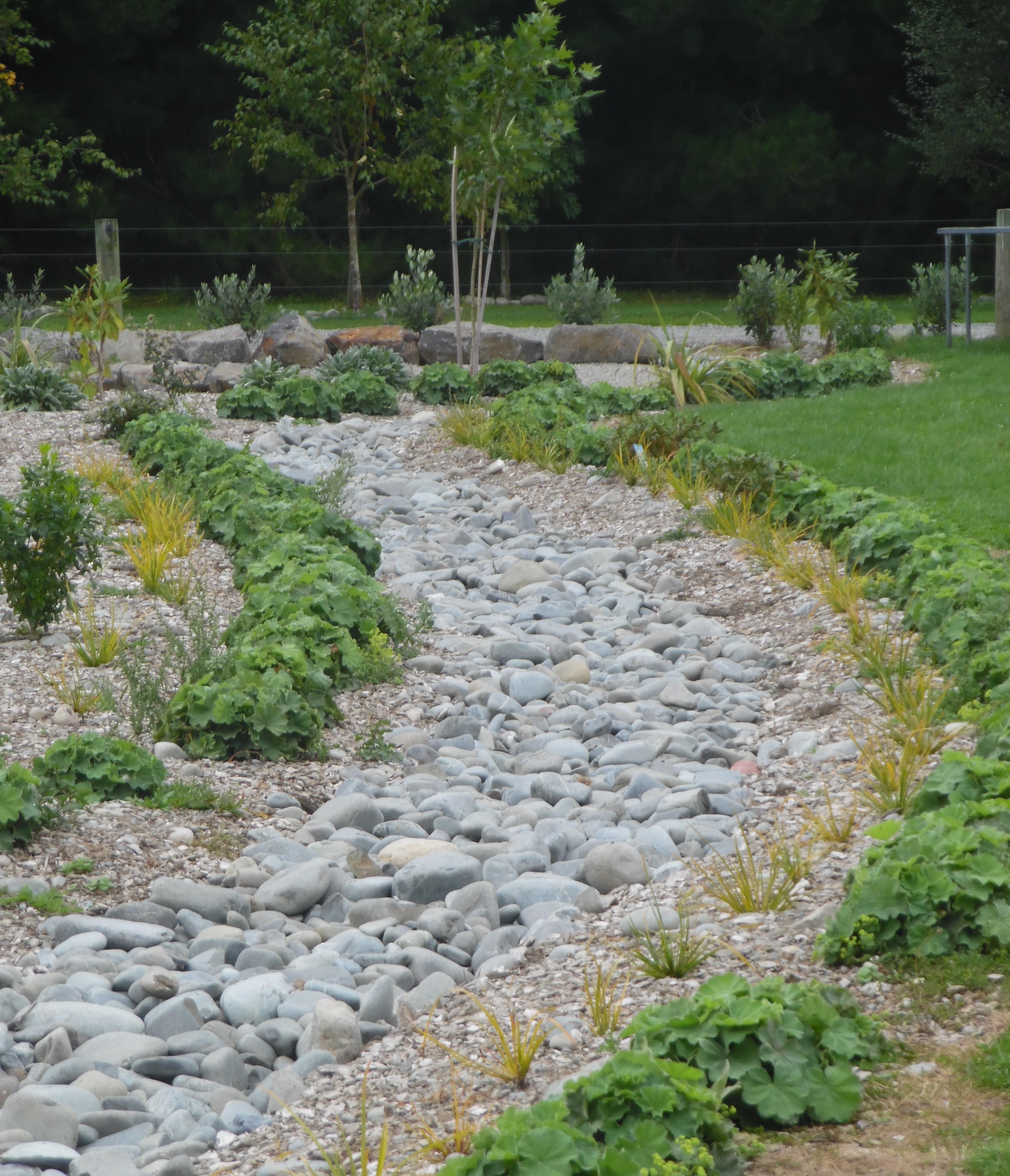 Looking back down creek to courtyard